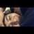 Omar Gutierrez's profile image