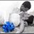 Will Hosmel Jimenez's profile image