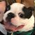 Tami Roniger's profile image