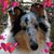 Patty Gray-Wardle's profile image