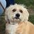 Kathy Stadick's profile image