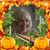 Carole Woznick Amateis's profile image
