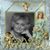 Bonnie Thomas's profile image