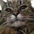 Jane Smith's profile image