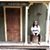 Mosheh Adame's profile image