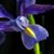 Kathy Hendricks's profile image