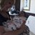 Diane Proctor's profile image
