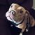 Amanda Lindstrom's profile image