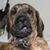 Nick Blauer's profile image