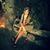 Alessandra Longhini's profile image