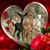 Crevier Doreen's profile image