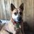 Emma Magers's profile image