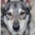 Karen Hyams's profile image