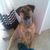 Mary Fischer's profile image