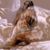 Diane Smith's profile image