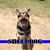 Flavio Azevedo's profile image