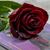 Angelica Rodriguez's profile image