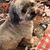 Patsy Rountree Waller's profile image