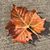 Matthew Wesley Smith's profile image