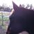 Kelly McNiff's profile image