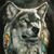Weisgerber Aden's profile image