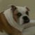 Delia Arbois's profile image