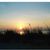 Pat Campbell Gonzales's profile image