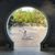 Beth Cordes Thompson's profile image