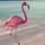 Claire LaCroix Melkonian's profile image