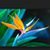Kelly D Schor's profile image