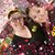 Tonya Skelton's profile image
