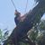 Craig Lunsford's profile image