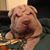 Dawn M Cook's profile image