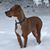 Brian Houg's profile image