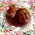 Elaine Grimes Hall's profile image