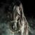 Mostafa Mahmoud's profile image
