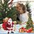 Jennifer Long Petruzzelli's profile image