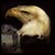 Erin Leavitt's profile image