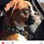 Lois Bruce's profile image