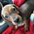 Danielle Norwood's profile image