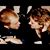 Samantha Lynn Fitzgerald's profile image