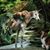 Nina Story Donigan's profile image