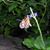 Jeannie Clarke Lashlee's profile image