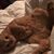 Polly Hill Morell's profile image