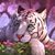Kim Griffin's profile image