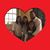 Yuleida Florez Lopez's profile image
