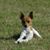 Mark M Olier's profile image