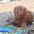 Tammy R. Weaver's profile image
