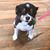 Gloria Quinn McMillan's profile image