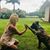 Lela Derish's profile image